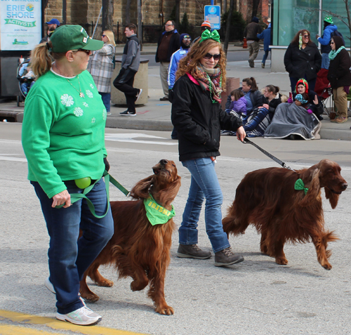 Irish Setter Club of Ohio